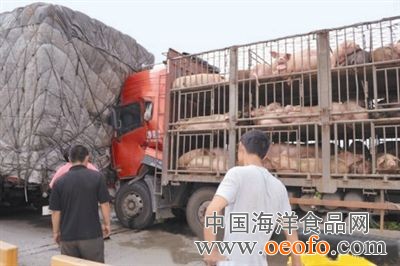 宅女和女警登场 秋番《少年侦探团 》最新角色“太阳成官网”(图2) 太阳成集团tyc