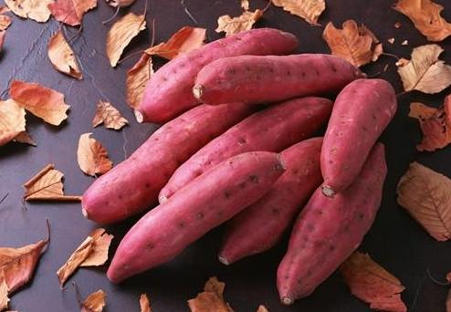 “太阳成官网”《龙珠:超》漫画第二卷封面公布 宇宙激战爆发(图1) suncitygroup太阳成集团