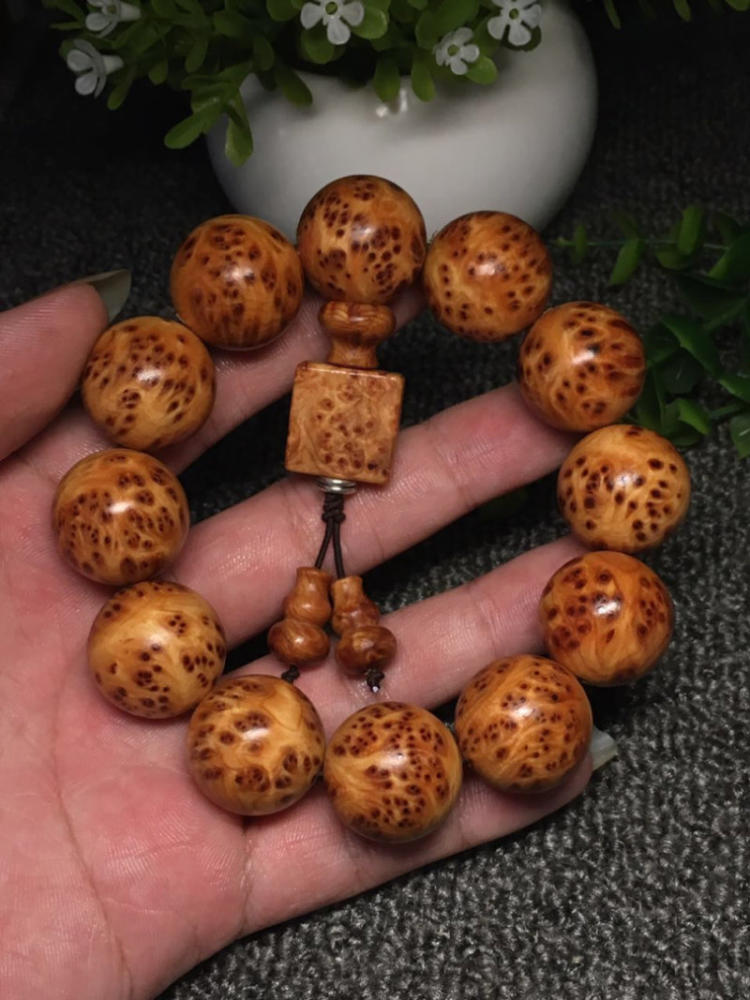 太阳成集团tyc|大熊猫幼崽“香香” 开始尝试独立生活(图1) 太阳成集团tyc