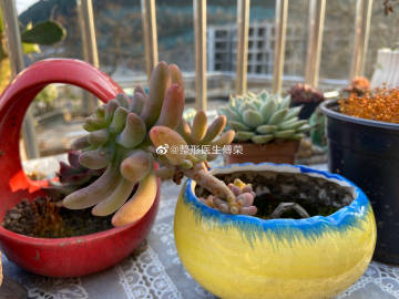 “太阳成集团tyc”《雪人奇缘》最新票房统计 《雪人奇缘》值得看吗口碑怎么样(图4) suncitygroup太阳成集团