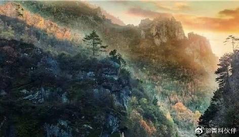 产品、设计、服务相结合 设计师助力品牌运营新模式“太阳成官网”(图3) 太阳成集团tyc