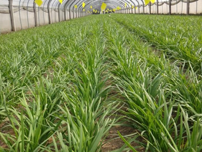 suncitygroup太阳成集团:游心旅行腾讯全球合作伙伴大会分享成功之道(图3) 太阳成集团tyc