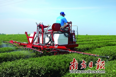 《点兔》新作剧场版公布主视觉图及剧情简介等情报_太阳成官网(图2) 太阳成官网