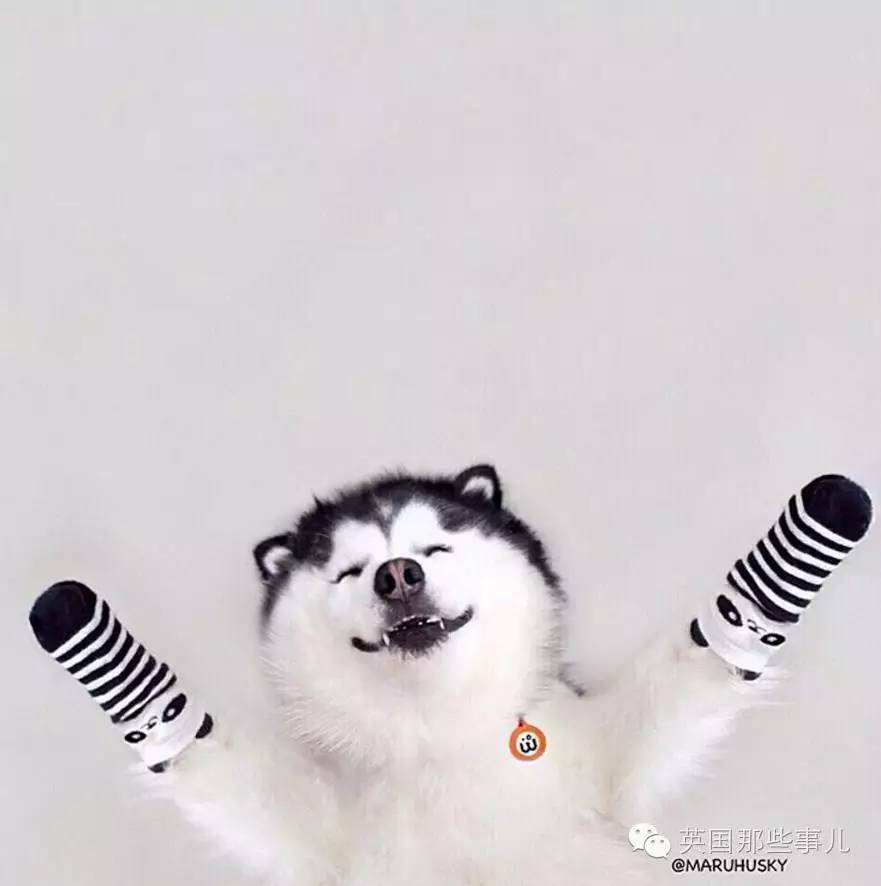 太阳成官网|口碑大爆!《恶魔城》动画第一季IGN 8.1分(图1) 太阳成官网