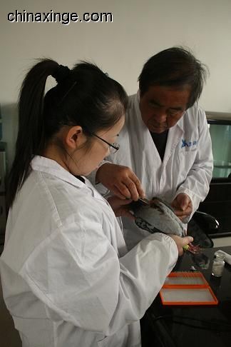 suncitygroup太阳成集团