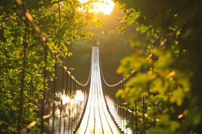 suncitygroup太阳成集团-《双星之阴阳师》漫画43话先行图 焰魔堂与青龙上场(图1) 太阳成集团tyc