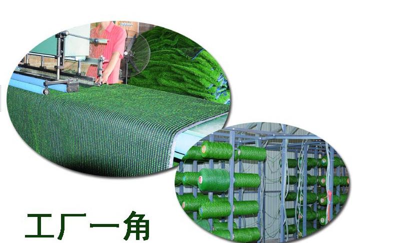 suncitygroup太阳成集团