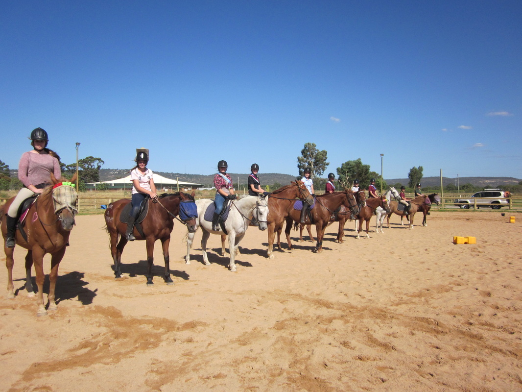 《双星之阴阳师》漫画第40话 毛头小子迎战凶残青龙-太阳成集团tyc(图2) 太阳成集团tyc