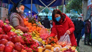 该谁赔?---游客意外摔倒|太阳成集团tyc(图1) 太阳成官网