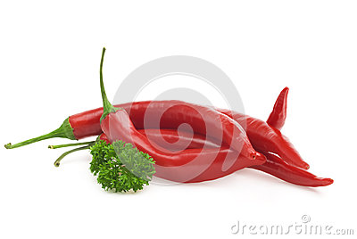 《勇者大冒险》第二季第八集先行图 神秘新角色登场‘太阳成集团tyc’(图3) 太阳成官网