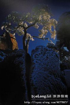 Safari浏览器的8个秘密技术 满满黑科技 怪我以前眼瞎没发现‘太阳成官网’(图2) 太阳成官网