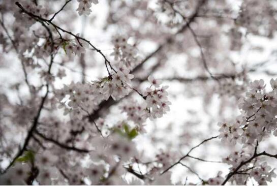 【suncitygroup太阳成集团】回到童年·儿童公益活动 2017互动通筑爱红旗小学(图3) 太阳成集团tyc