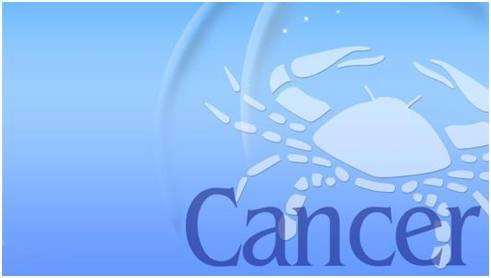 suncitygroup太阳成集团