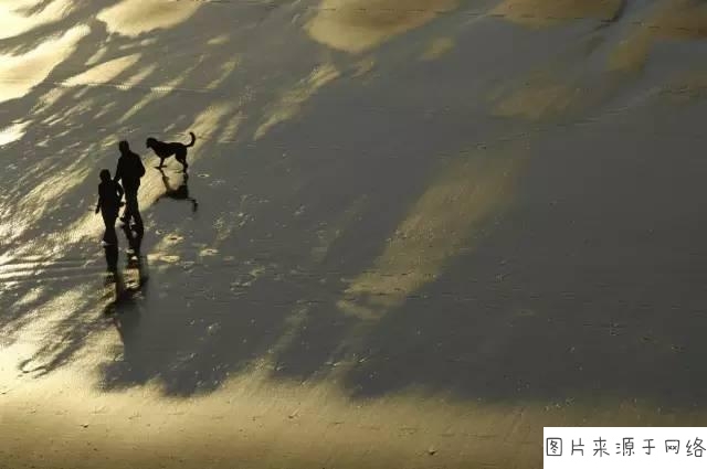 suncitygroup太阳成集团