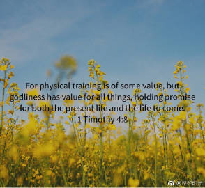 suncitygroup太阳成集团