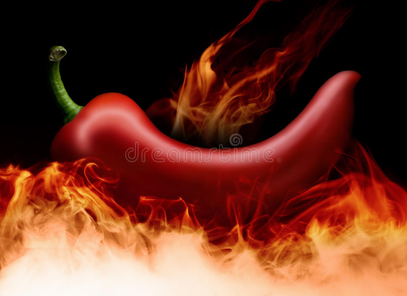 suncitygroup太阳成集团|日本动画电影《刀剑神域:序列之争》确定引进(图1) 太阳成集团tyc