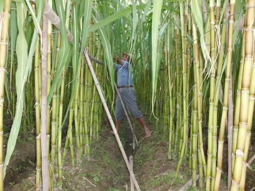 辽宁天海:辽宁省专接本之后,专升本后,你的档案去哪了?-suncitygroup太阳成集团(图1) 太阳成官网