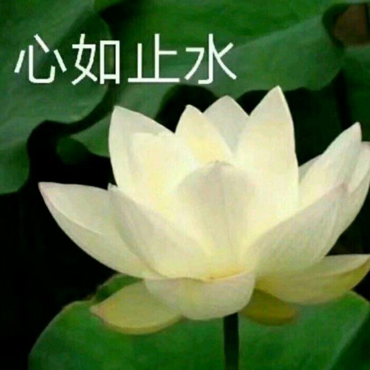 suncitygroup太阳成集团|2011年南中国自驾潮女广东赛区总决赛即将全面启动(图2) suncitygroup太阳成集团