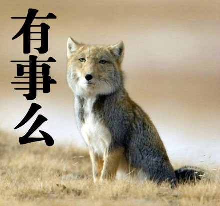 suncitygroup太阳成集团