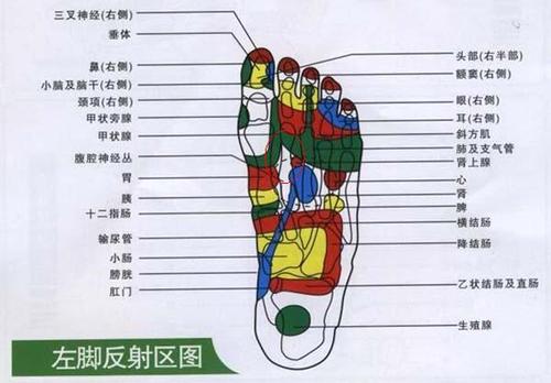 为争夺客源在线旅游砸钱拼促销“太阳成集团tyc”(图3) 太阳成官网