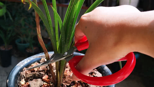 九月旅游将迎来一阵短暂的降价热潮：suncitygroup太阳成集团